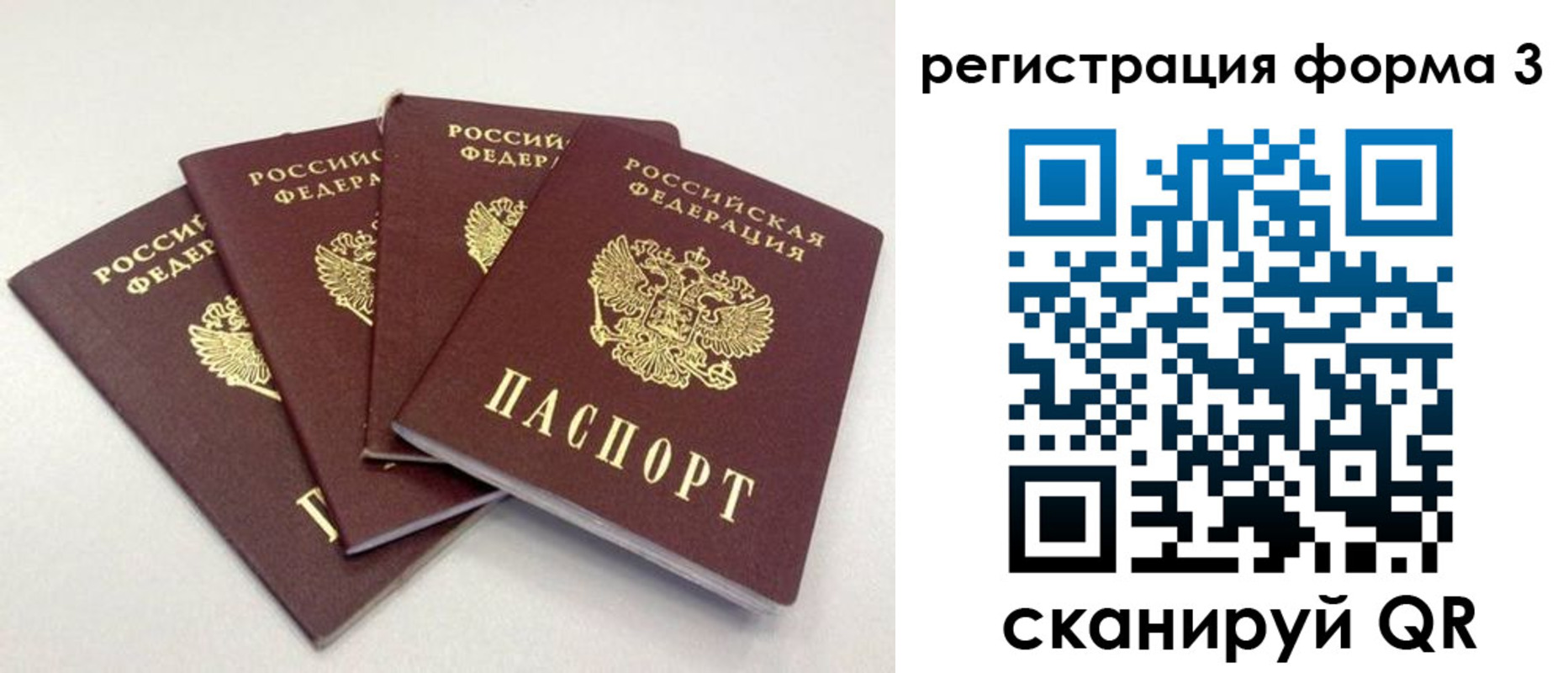 прописка 2025 в Приозерске